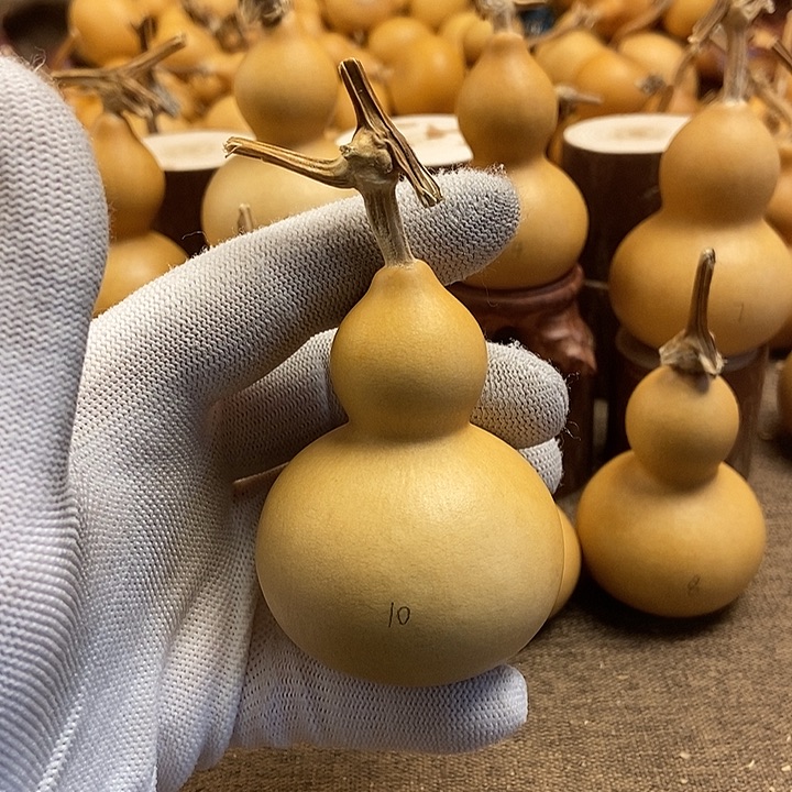 文玩葫芦 完美主义者 慎拍10