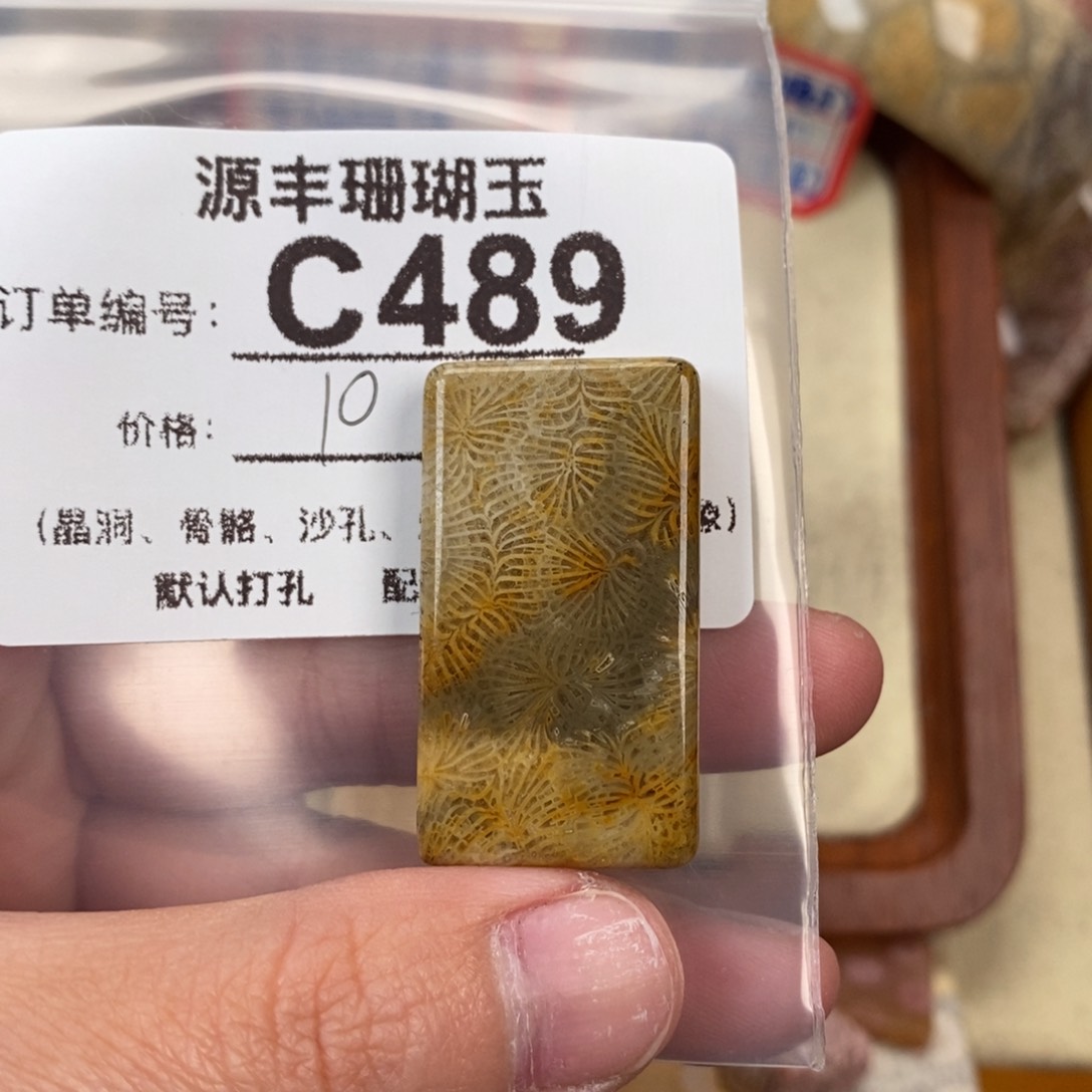 硅化玉颈饰未镶嵌7*?