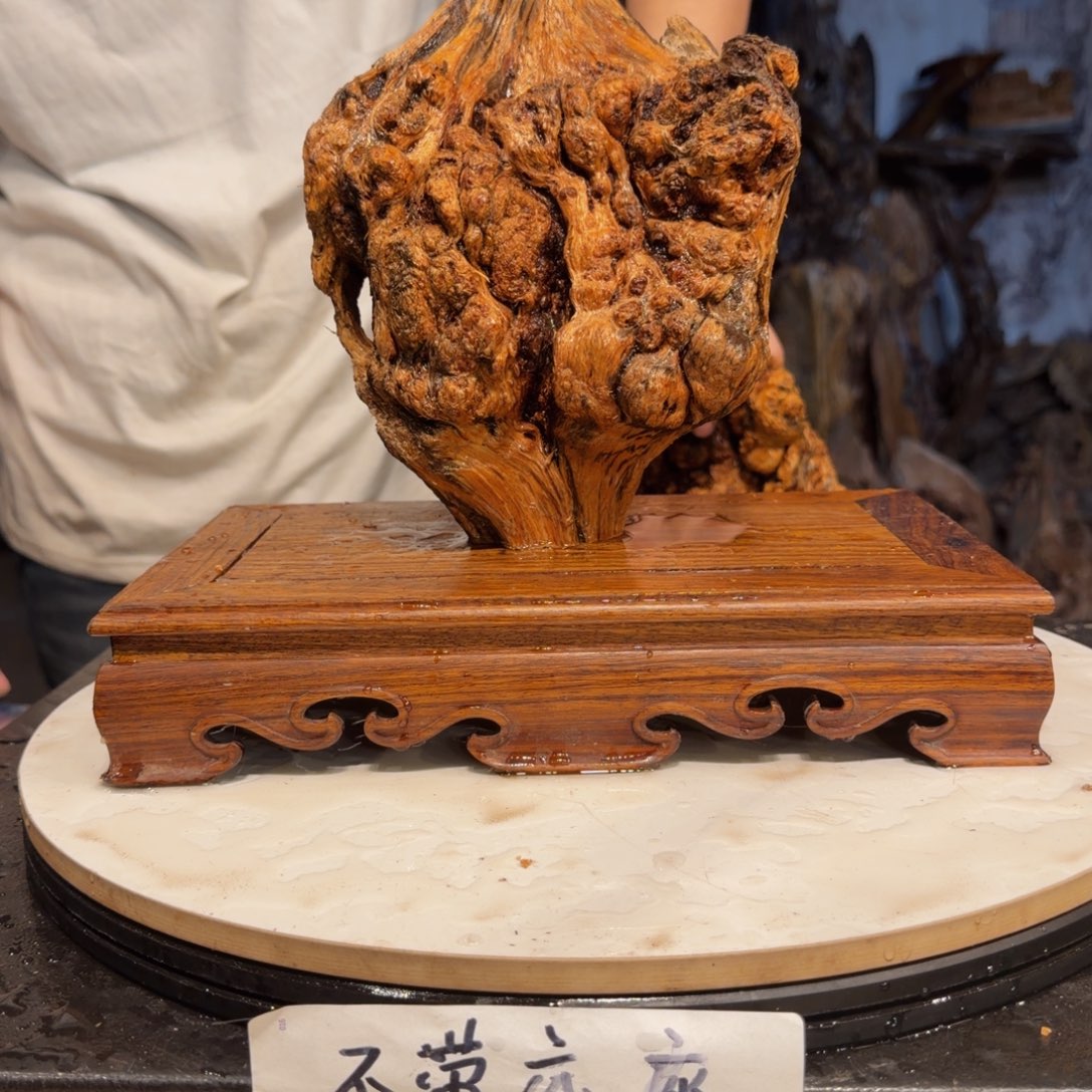 东***鱼木三丰琥珀木 天然摆件83