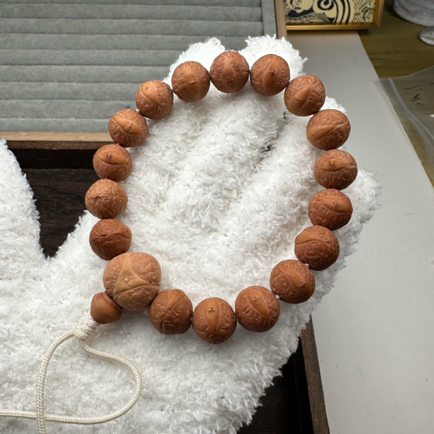 尼泊尔凤眼菩提13+半实心大眼福利