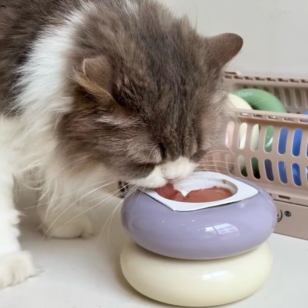 贝果猫碗宠物陶瓷吃粮饭碗小猫咪粮碗护颈防打翻碗架罐头碗猫食