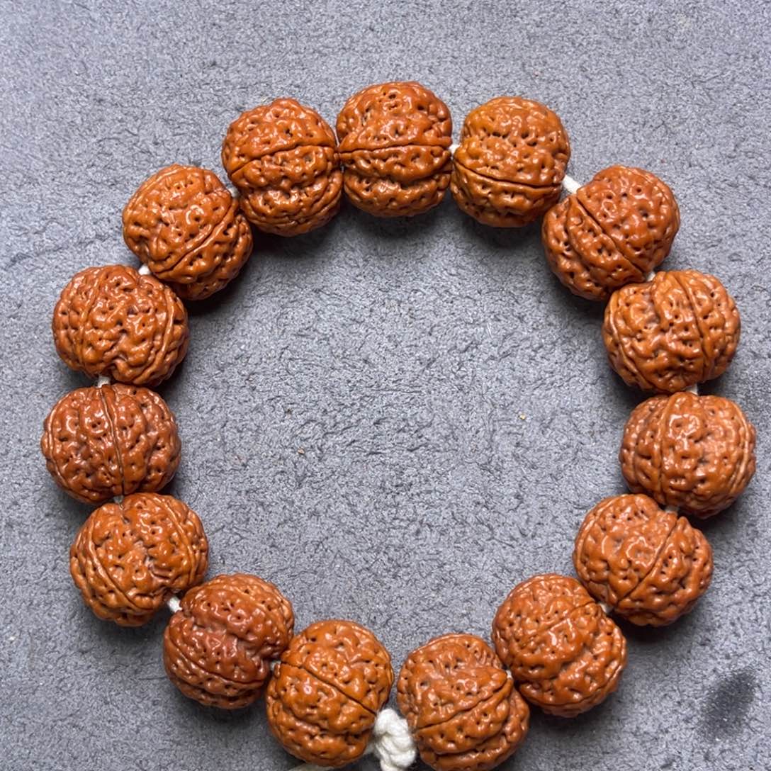 菩提13号金刚菩提梁梅花20+