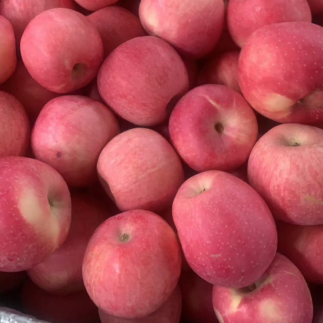 煮水专拍低价处理甘肃红富士苹果瑕疵果十斤包邮