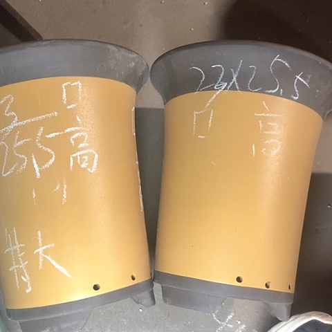 紫砂花盆紫砂的味道真的