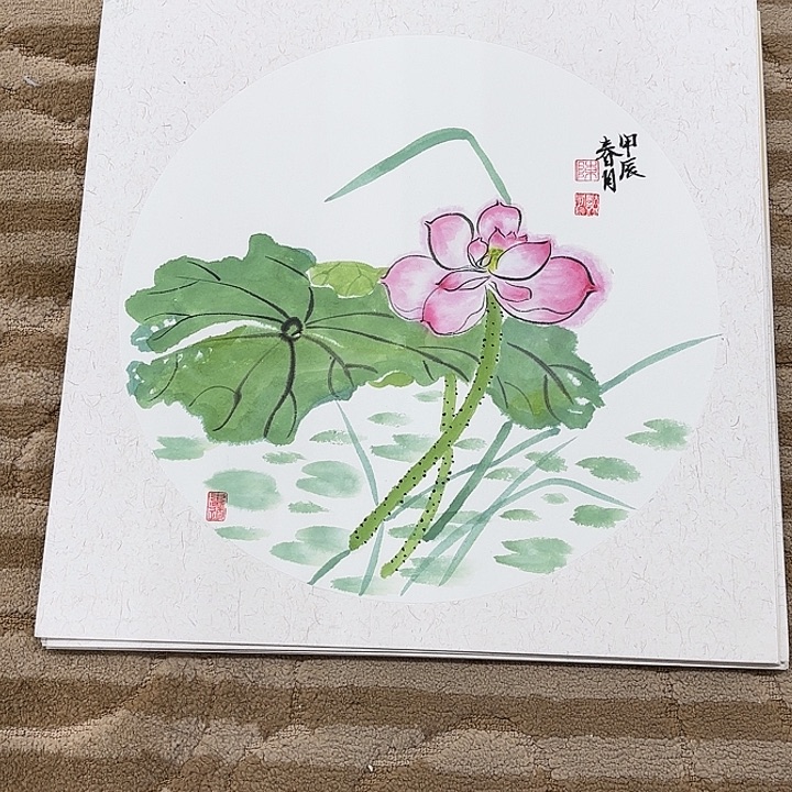 国画花鸟的翅膀和羽毛的羽毛38.38