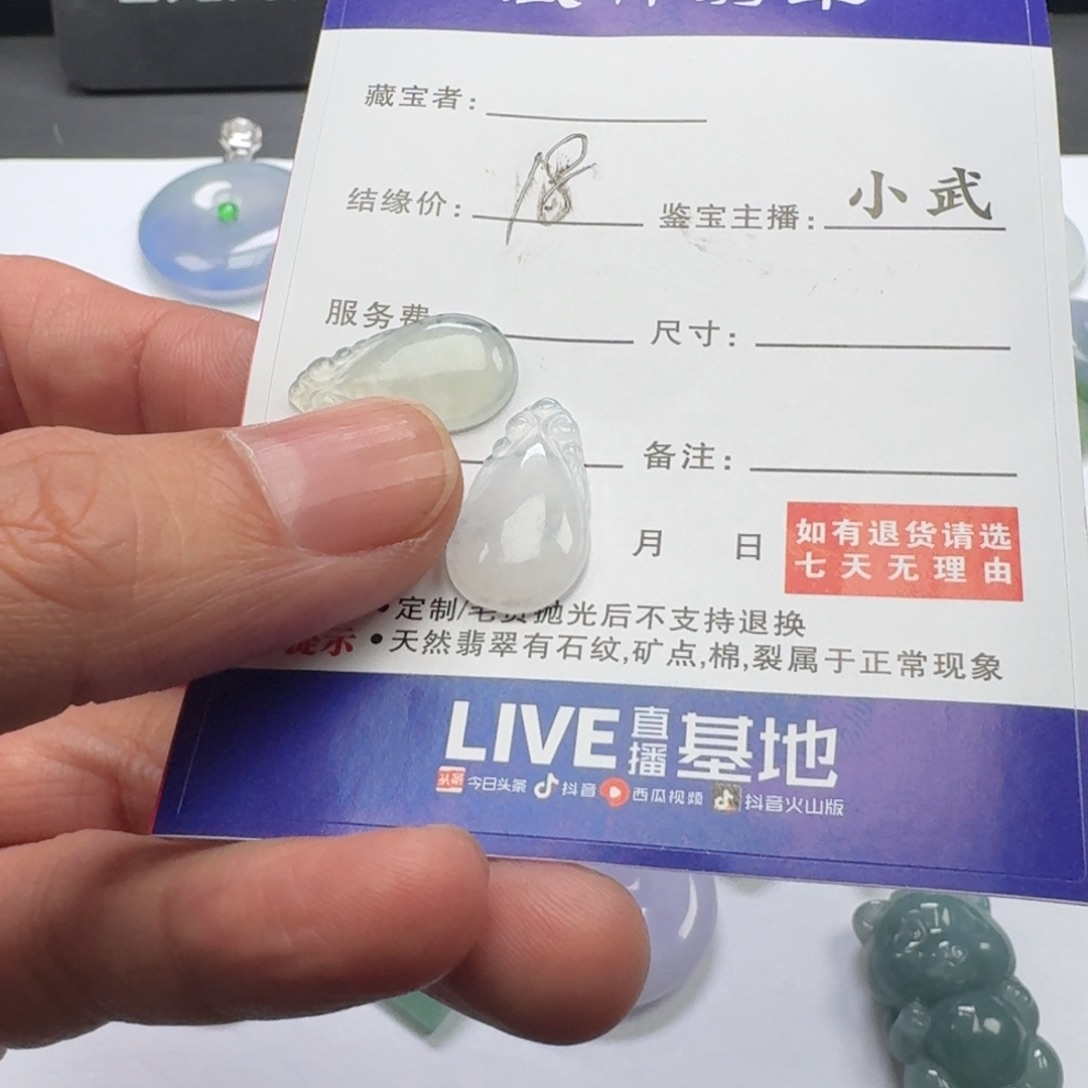 翡翠未镶嵌颈饰    11