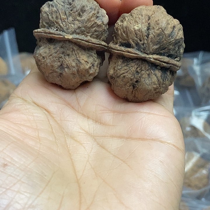 把件文玩核桃云南铁核桃基地43