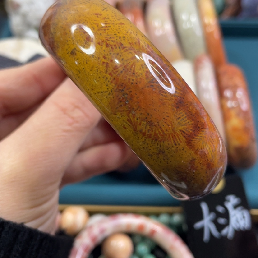 未镶嵌手镯硅化玉