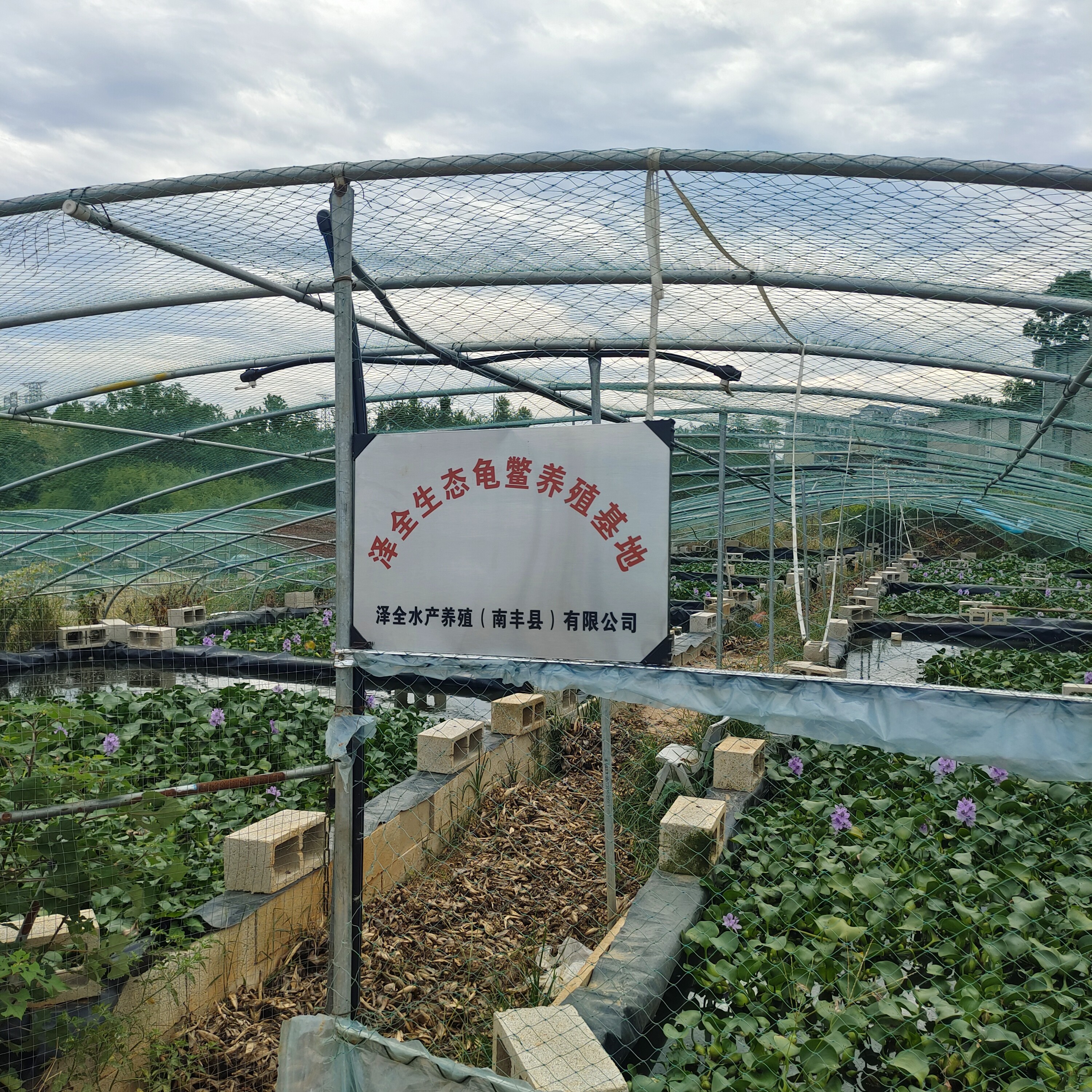 加热包+保温泡沫箱