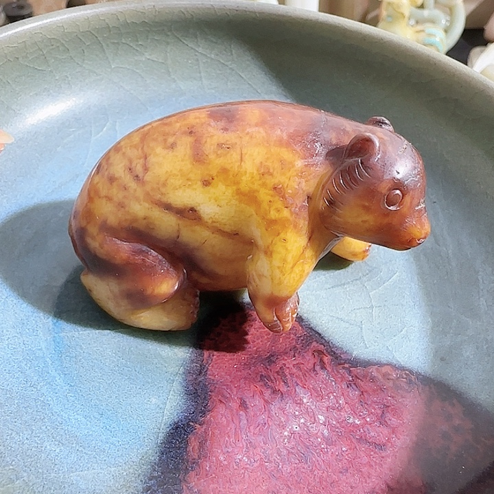 瓷片cxghjjhgggchvccccgh