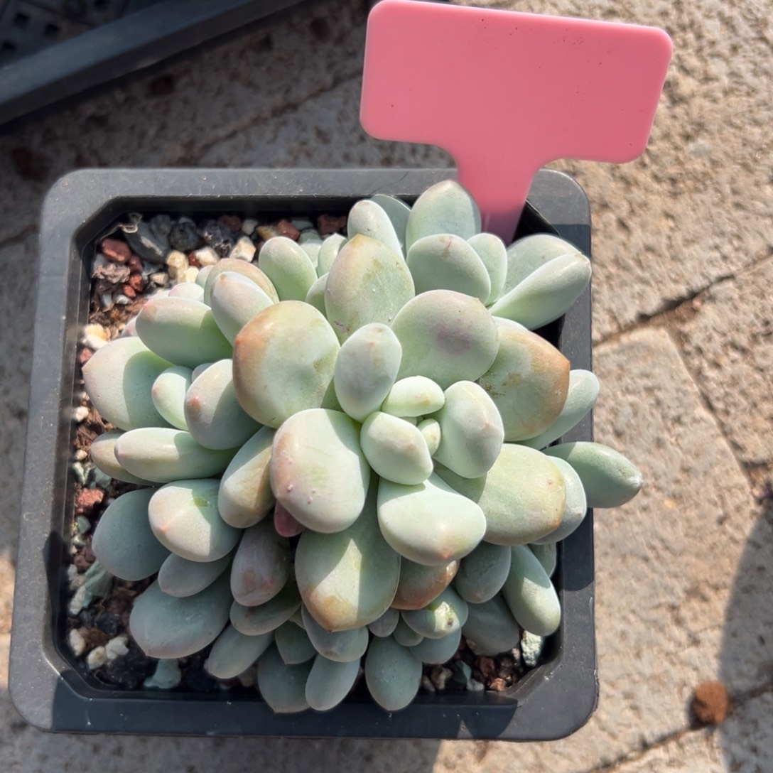 特价香水11111111111111111