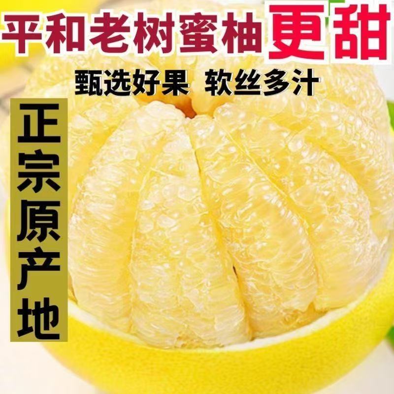 【现摘现发】正宗福建平和白心蜜柚新鲜薄皮爆汁应季甜水果批发