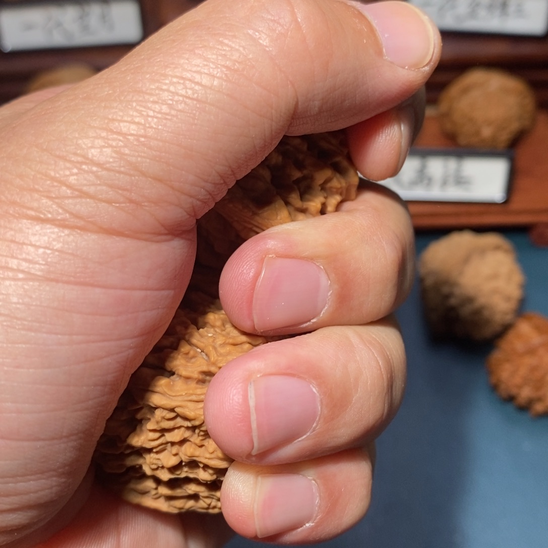 文玩核桃把件天****﷽核桃