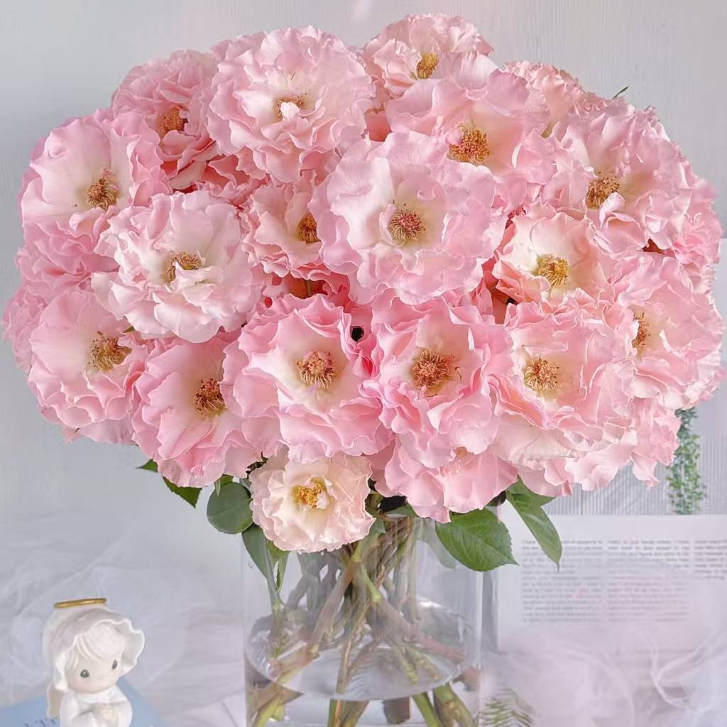 多头人鱼公主玫瑰鲜切花云南若美斯鲜花基地直发顺丰