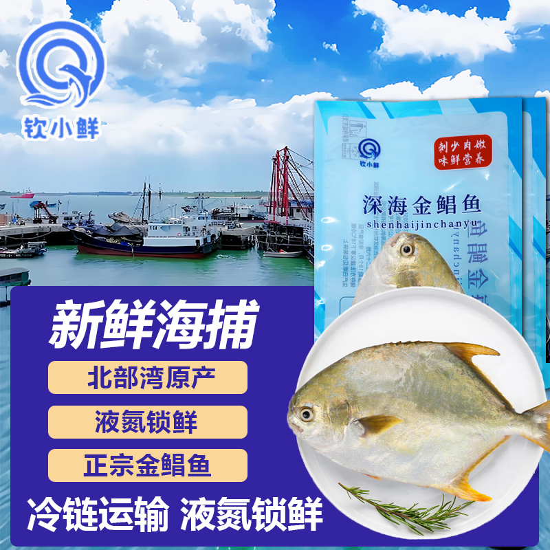 【钦小鲜】特大号深海金鲳鱼鲳鱼正宗金昌鱼鲜活速冻深海海鲜