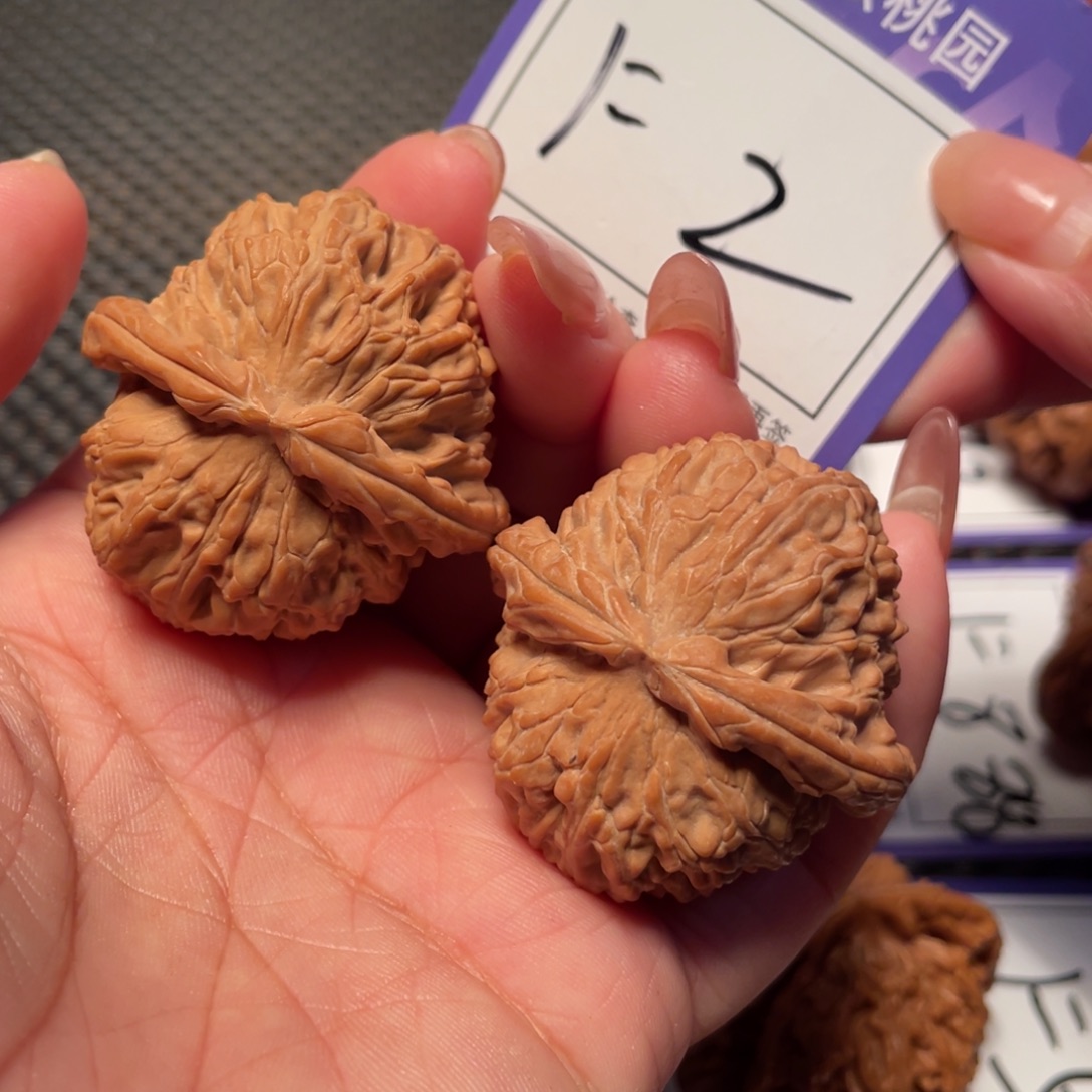 把件文玩核桃2号白狮子40