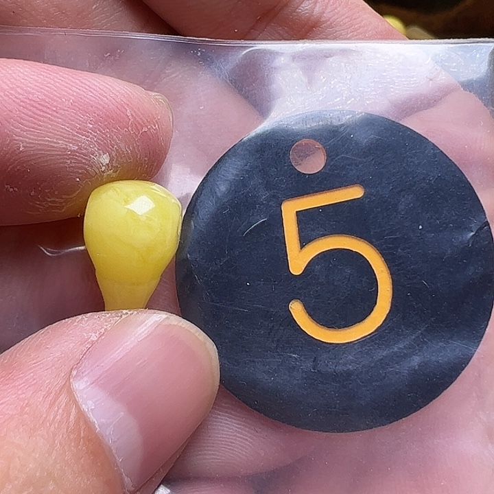 蜜蜡未镶嵌珠宝奇石9.6m m