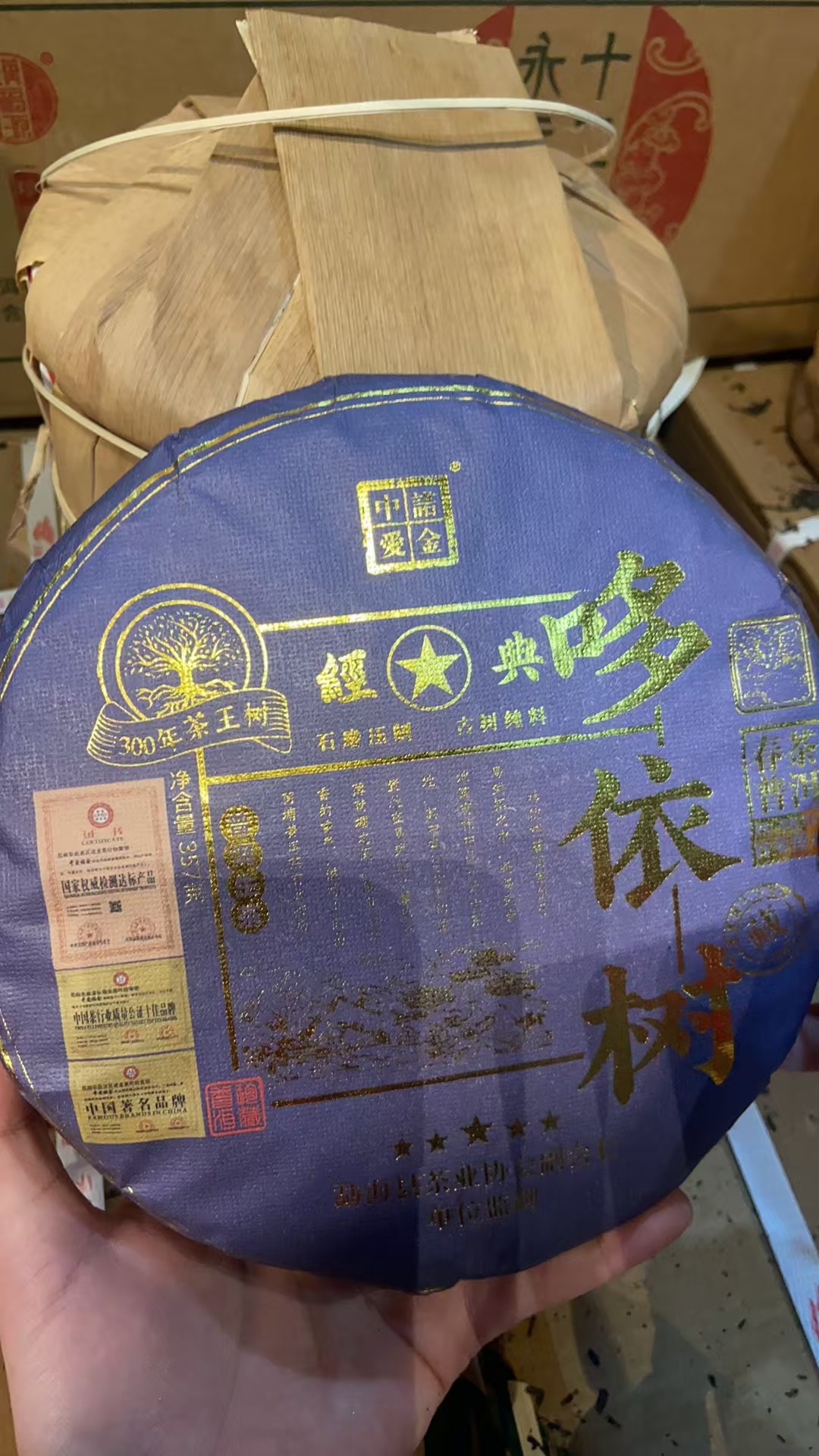 【哆依树】生茶 357克 普洱茶 2023年