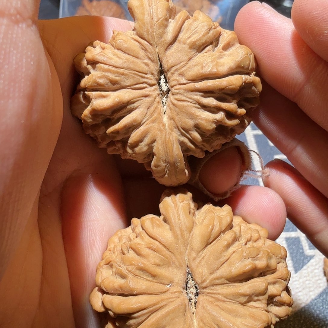 文玩核桃把件龙鼎