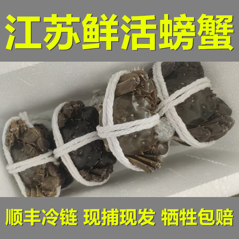 【活蟹】品知鲜鲜活螃蟹河蟹（全公蟹2.7-3两 ）10只 