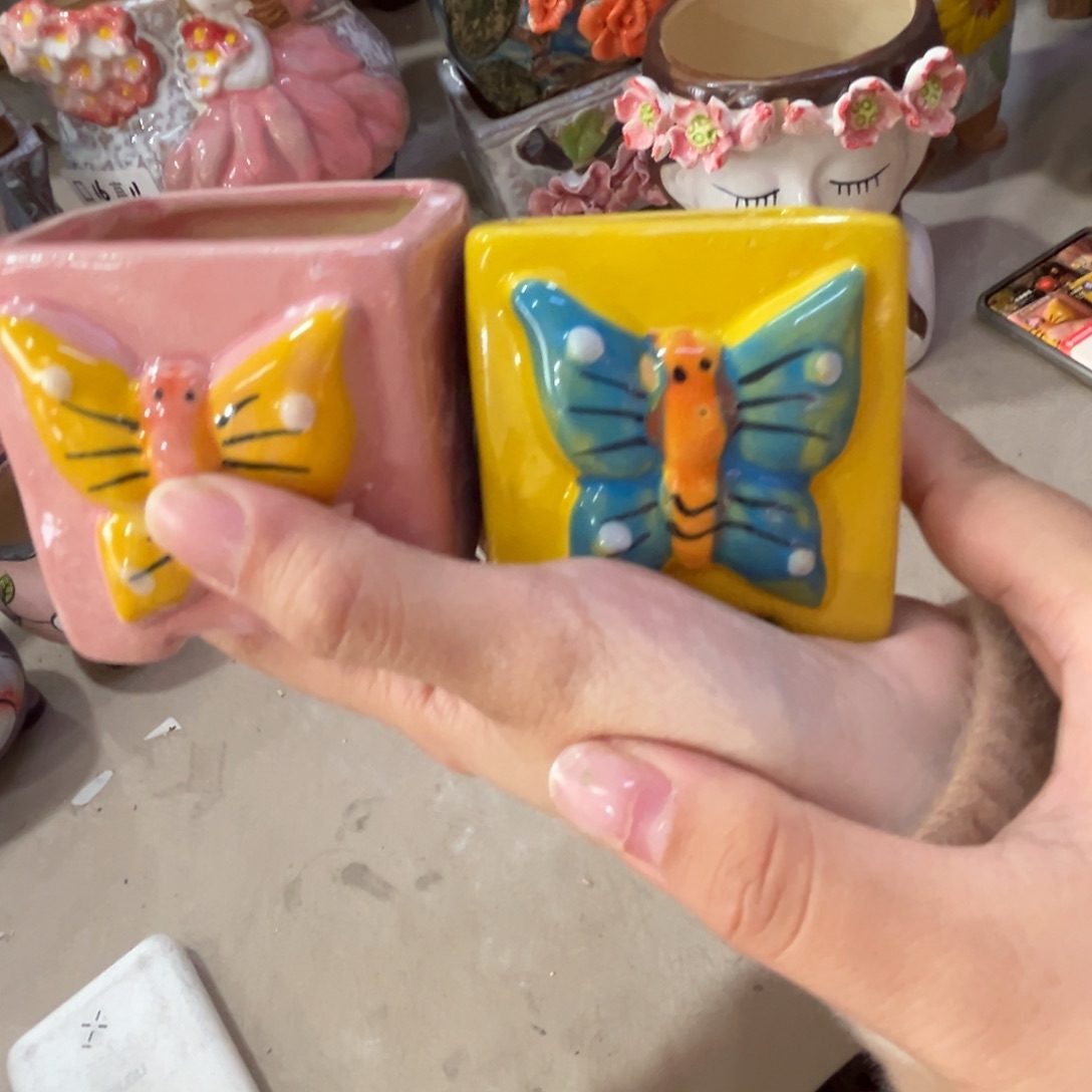 花盆满20米发货爱退款拉黑