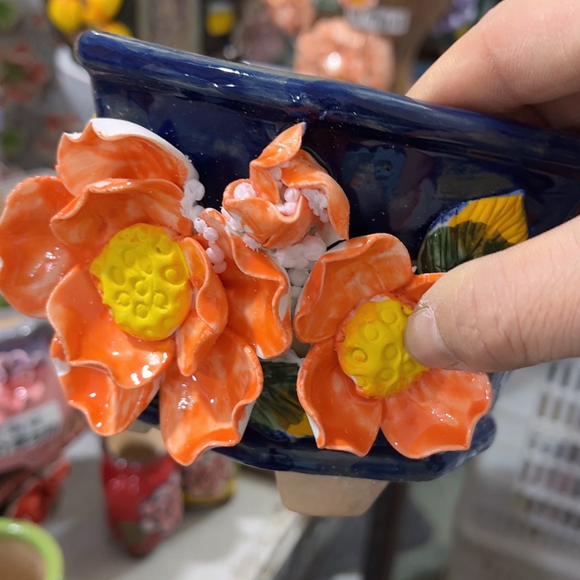 【闪购商品】红陶福利