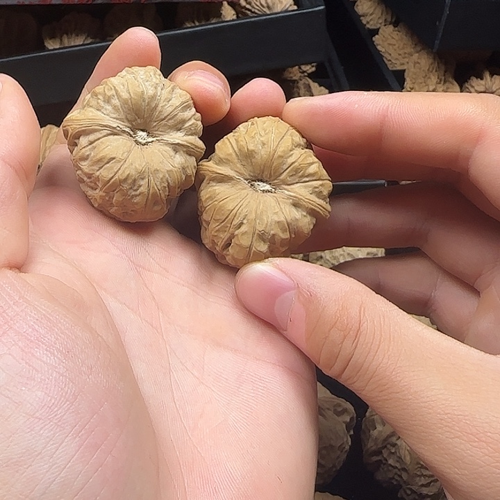 京***众吊坠龙脊菩提啊啊啊啊啊啊啊南瓜4