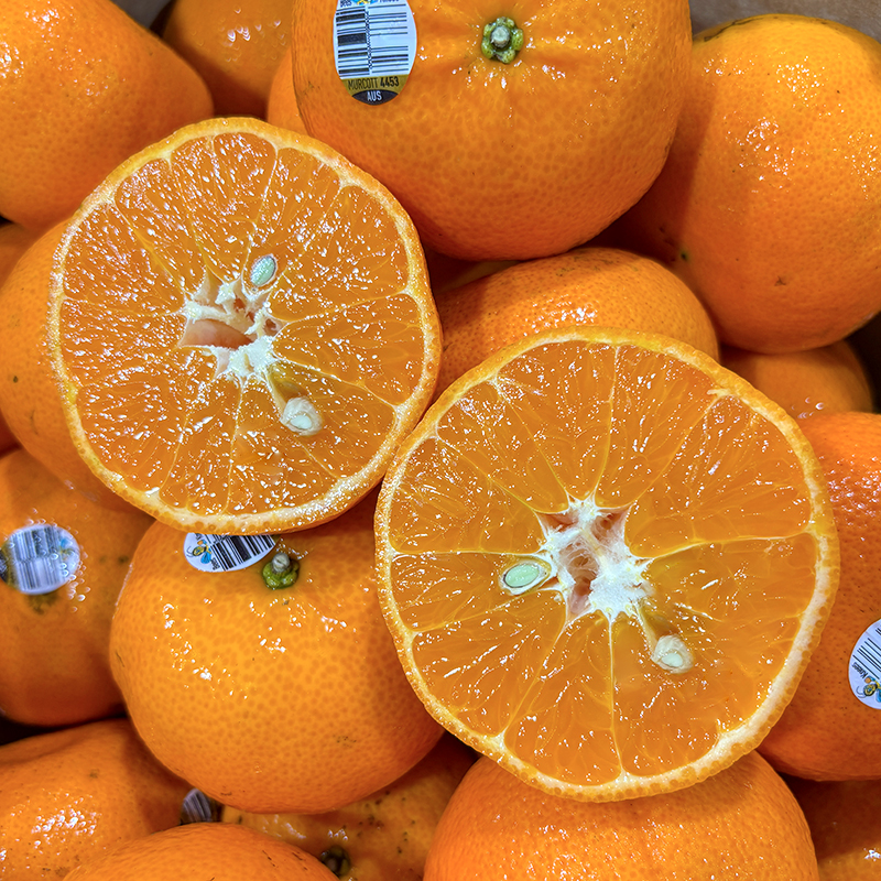 【哈拉秀严选】澳大利亚进口皇家茂谷柑 3/5斤分包装