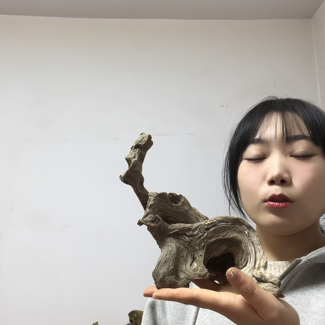 看***下柏木（崖柏）这个世界上最大限度地