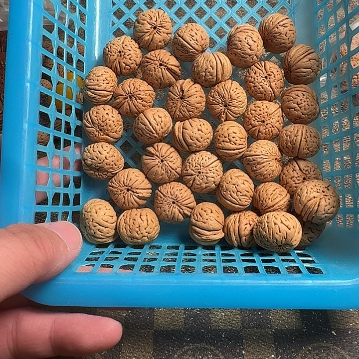 (***)桃核吊坠66666666666