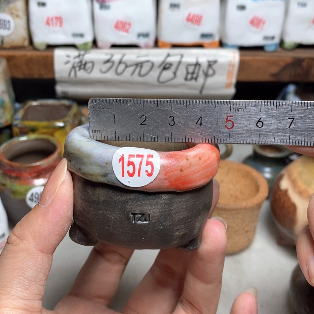 拍3送一个小礼物