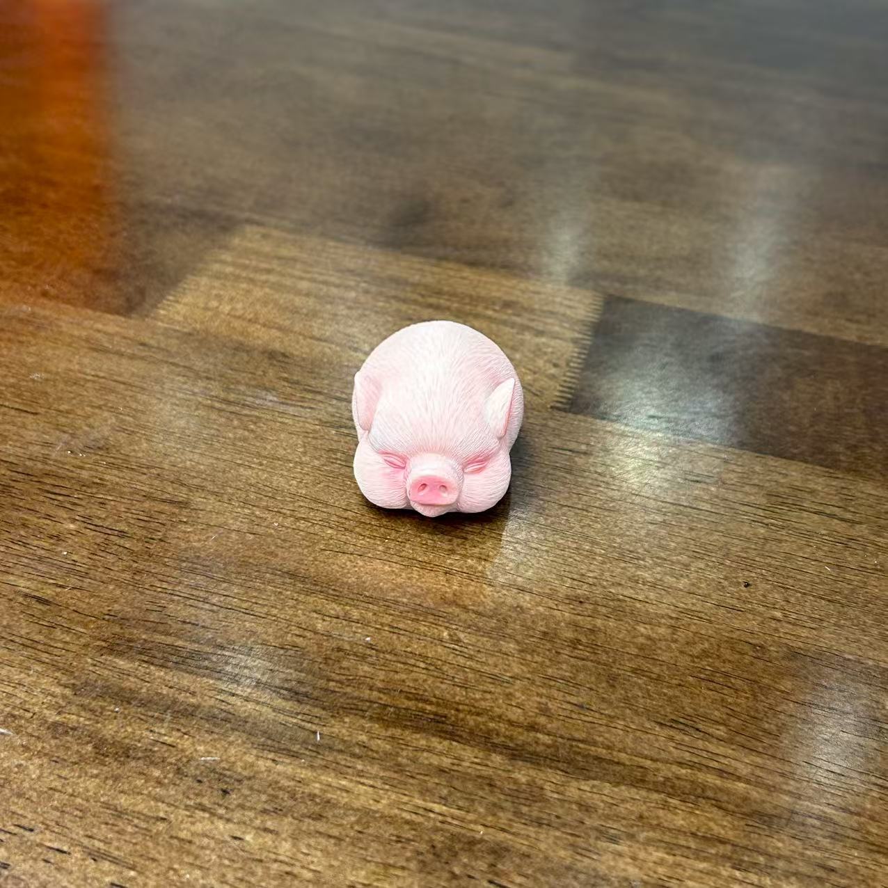 睡觉猪香插@1534