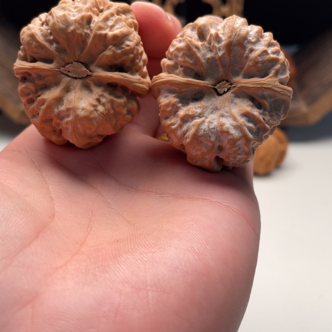 荣***东大叶紫檀（黑酸枝木类）蛤蟆头文玩C04