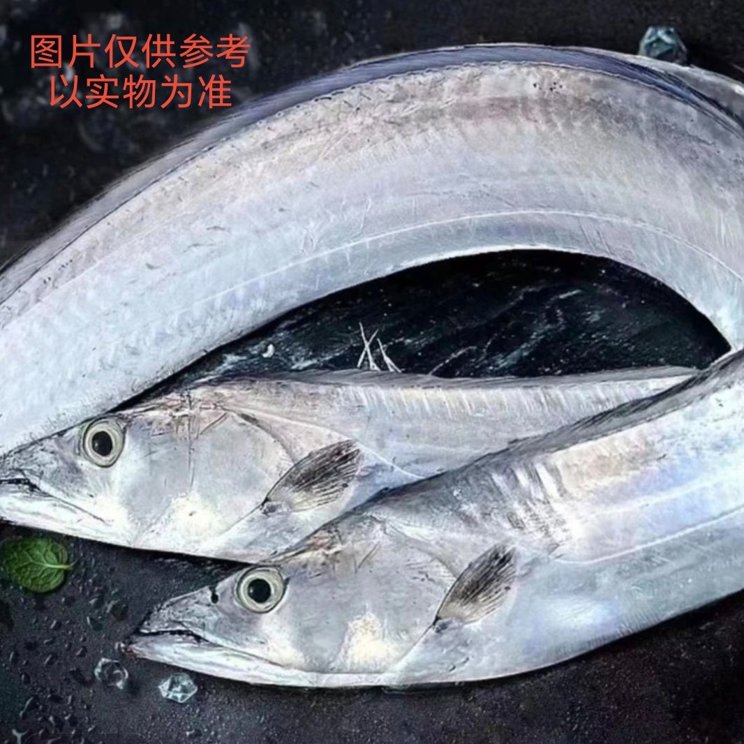 海捕钓钩带鱼（5斤共4-5条鱼）整条速冻后发货