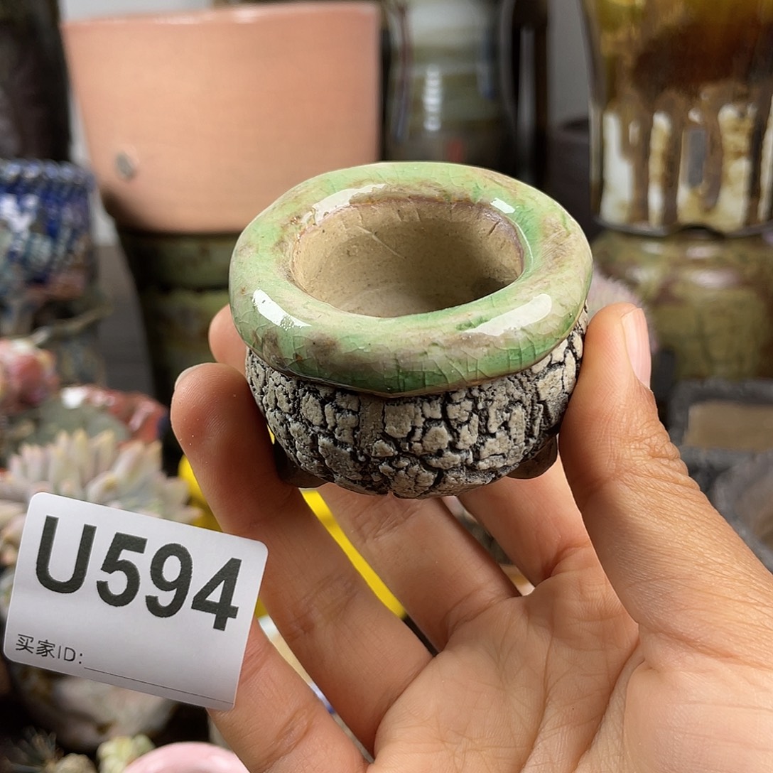 默认微次 元旦福利 坛子姐花盆