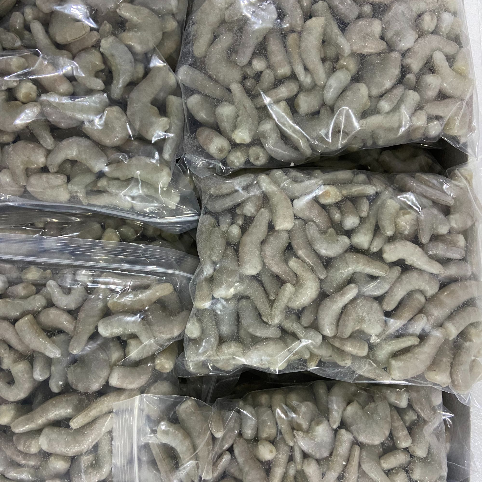 虾段观赏鱼鱼食龙虎魟鱼麦穗鱼去头去尾新鲜顺丰龙鱼麦穗鱼饲料