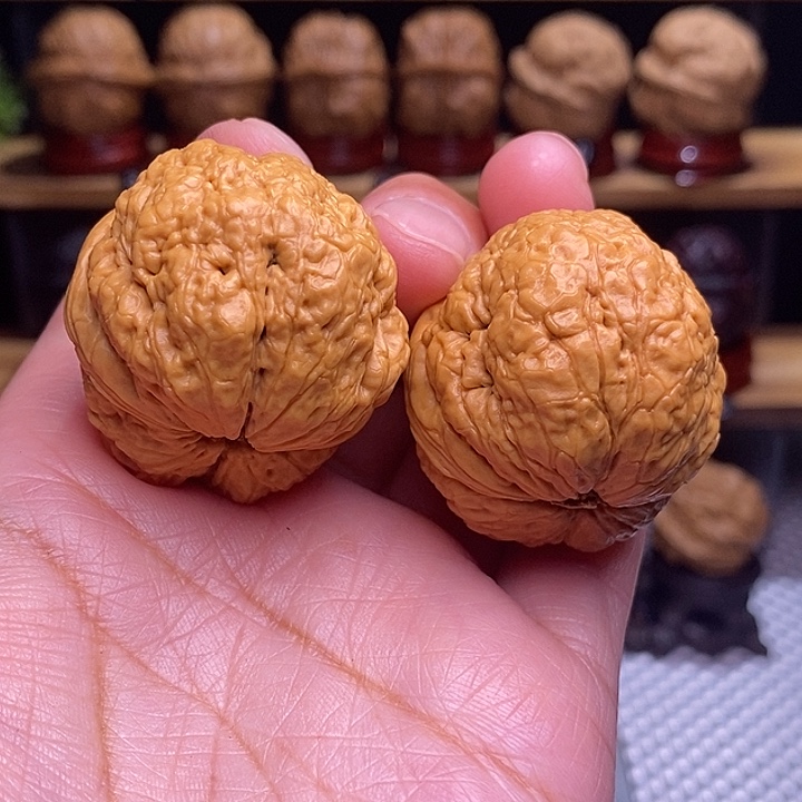 文玩核桃吊坠帝王蝉24