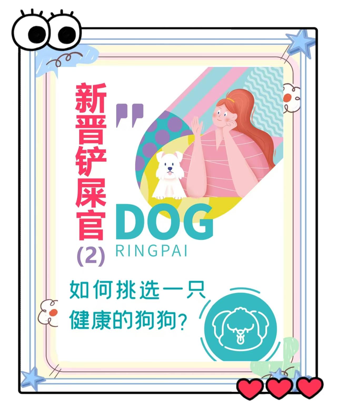 新手如何挑选饲养爱宠