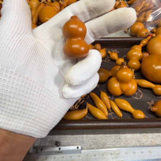 虫***歌虫虫爱听歌的一把草礼金，八宝葫芦