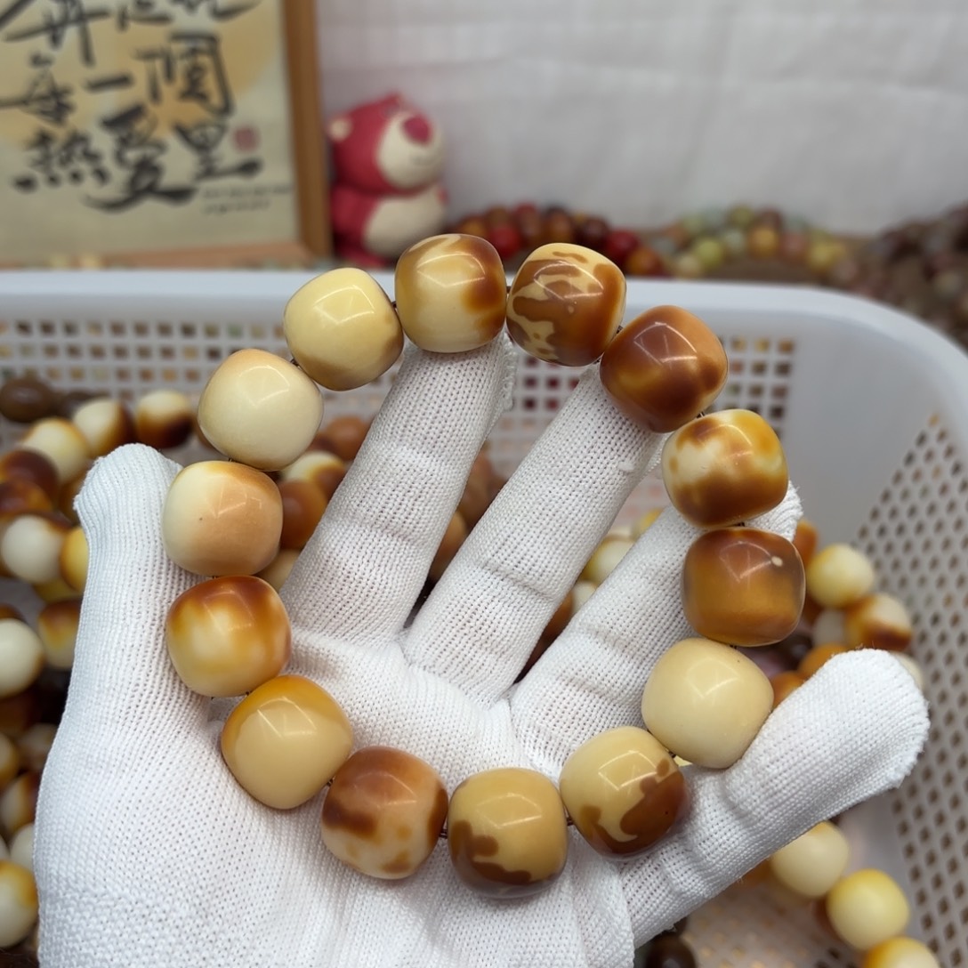 吊坠菩提根/象牙果19干磨瑕疵落地果299