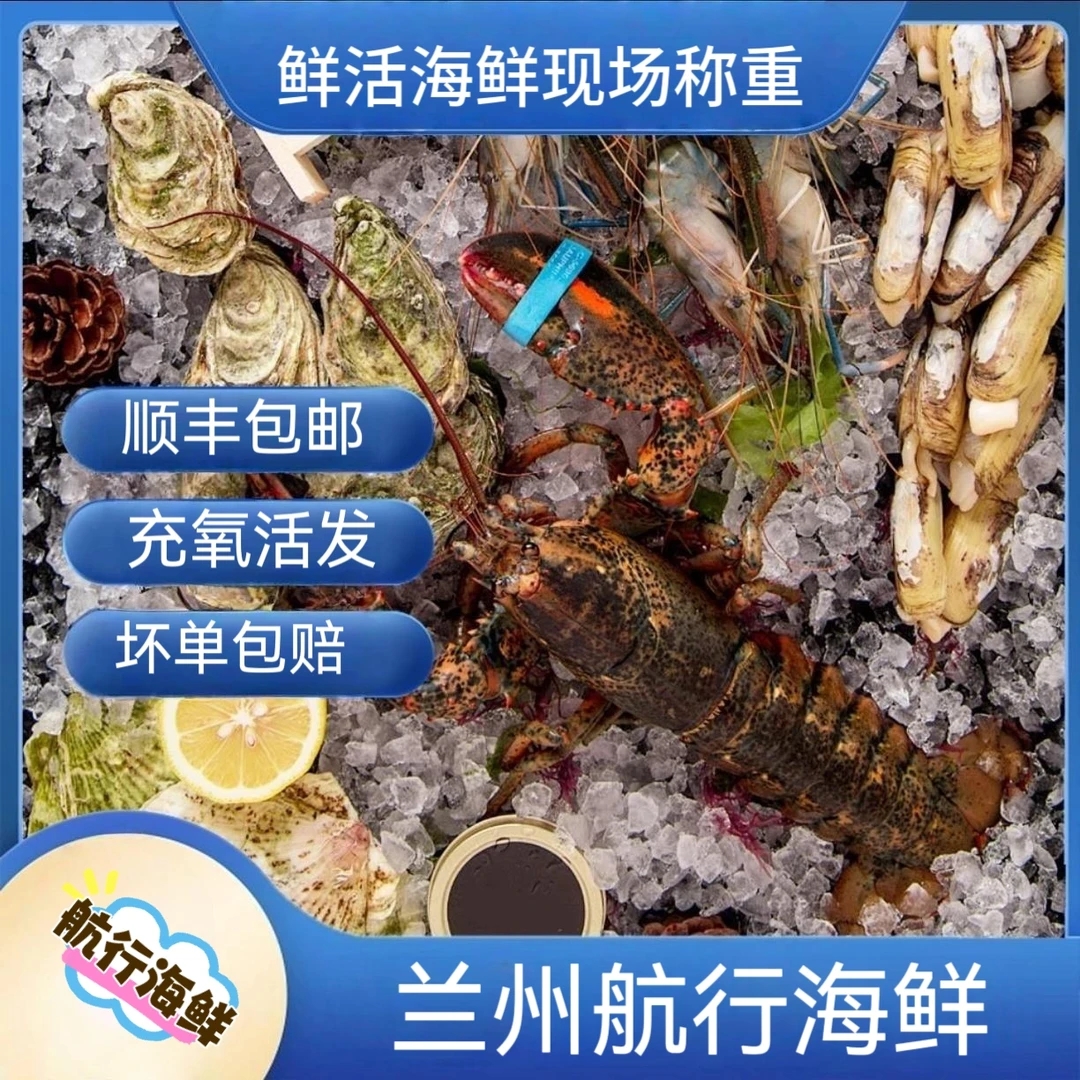 睡着的海鲜一斤起拍已现场称重为准《失水率百分之五》精品