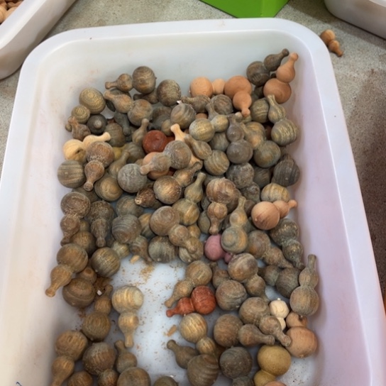 大叶紫檀（黑酸枝木类）