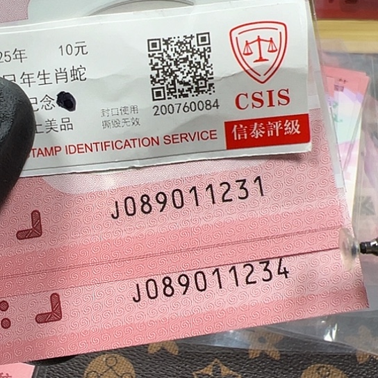 J089011231标十简易封装蛇