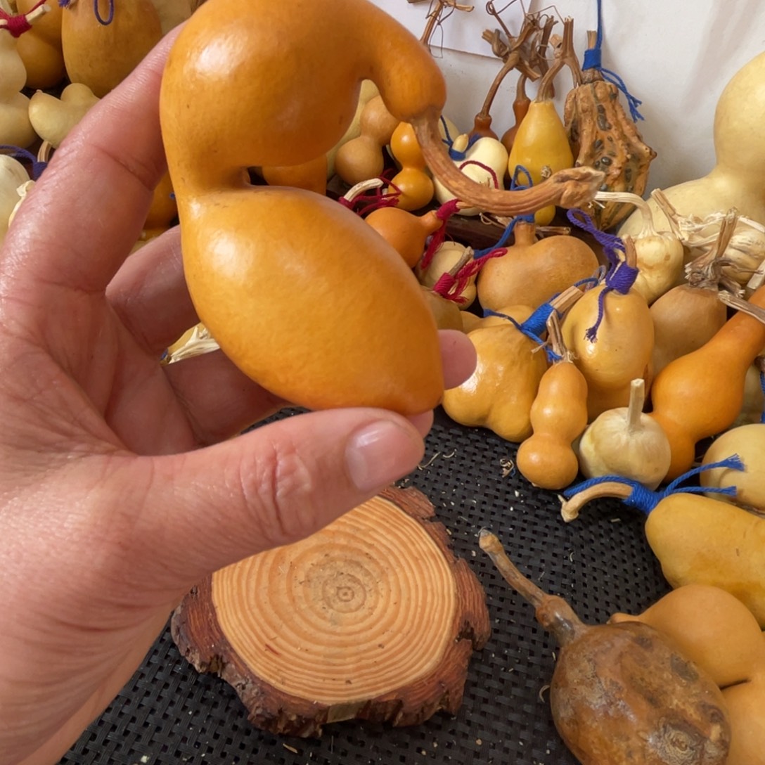 赵***南葫芦回家哈哈哈哈哈哈