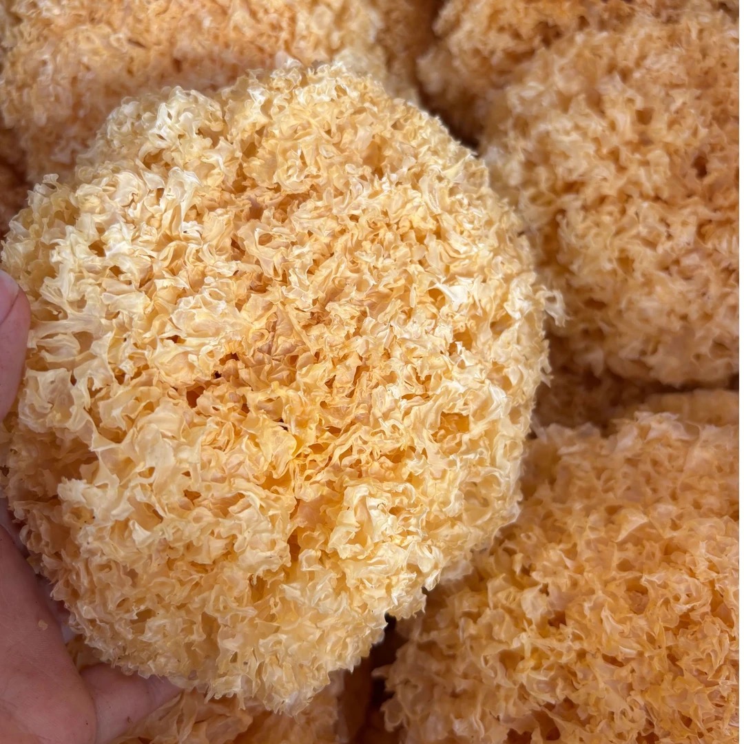 四川菌王手选高山银耳大花 新货干货