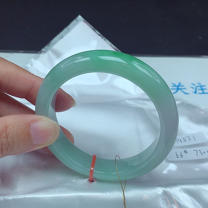 未镶嵌手镯翡翠56圈4831