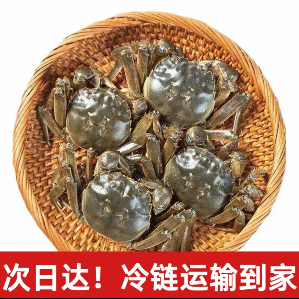 【活蟹】盘锦河蟹 全母蟹 1.1-0.8两/只 拍20只送10只 到手30只