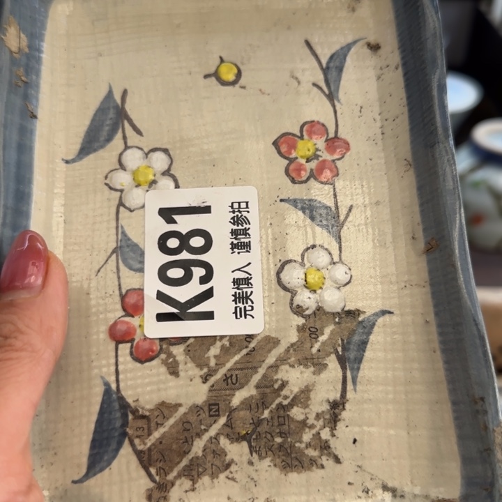 灰***飞瓷片一物一拍感谢支持