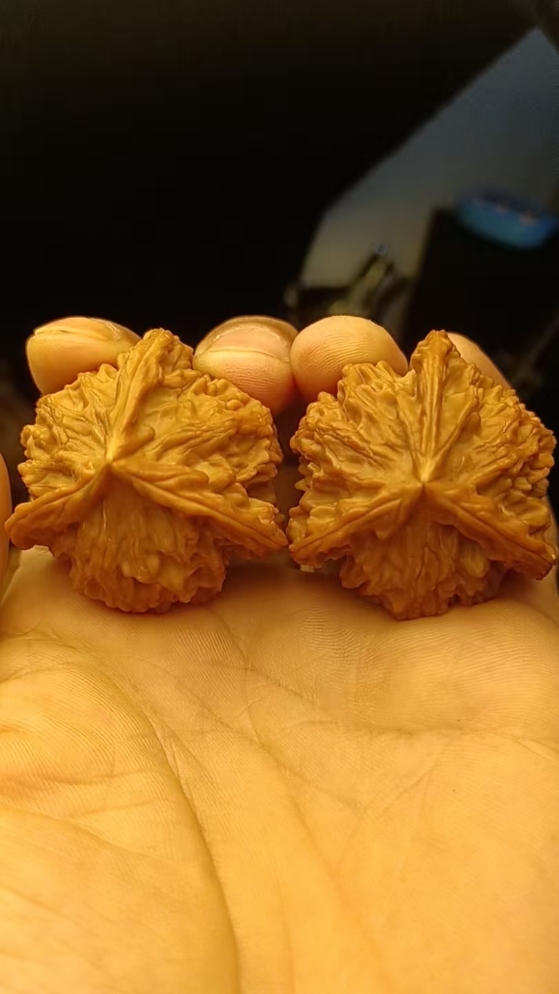 文玩核桃四座楼狮子头官帽王勇精品文玩