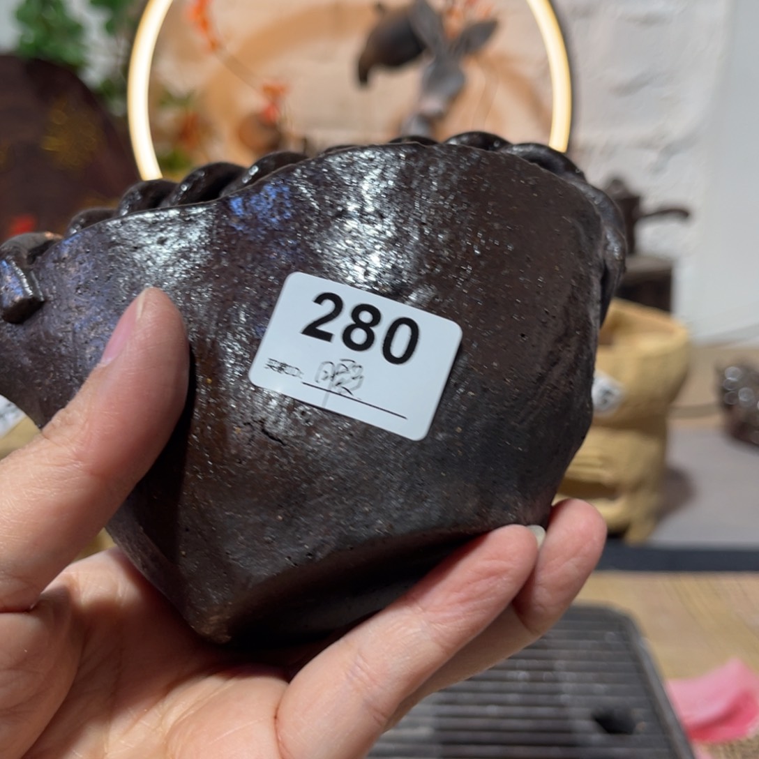 木村信弘柴烧保平